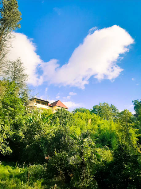 villa house with blue sky background stock photo
