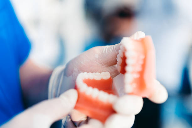 dentista in possesso di una protesi. - laboratory dentures dental hygiene human teeth foto e immagini stock