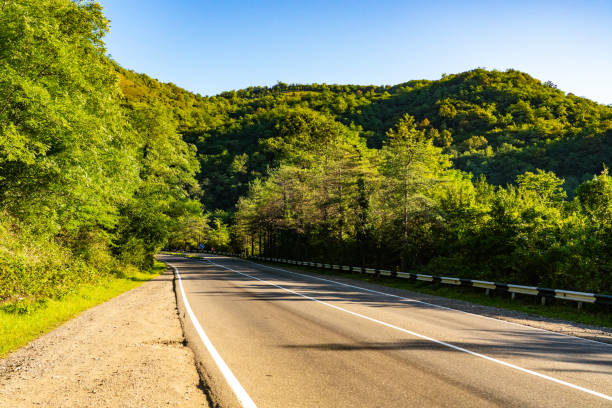 istock Asphalt road among green trees 1316592296