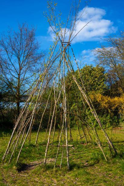istock Childrens hut made of vivid willow trees 1316592353