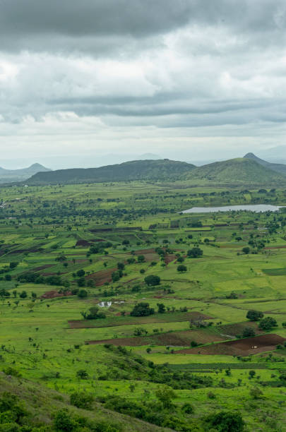 istock Monsoon clouds above agriculture field 1316594880