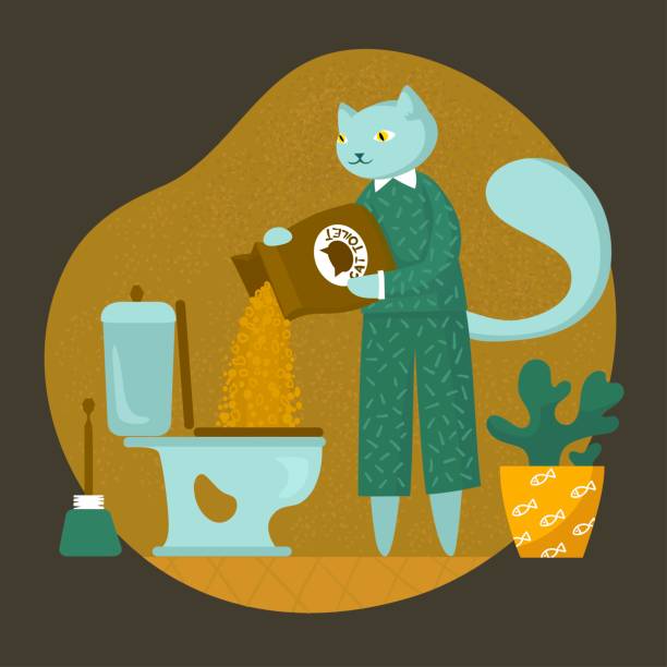 ilustrações, clipart, desenhos animados e ícones de banheiro de gato. isolado. home plant, vaso sanitário. ilustração vetorial. flat, estilo desenho animado. higiene, rotina. felicidade, vida animal, ficar em casa, independente, pijama, alegre, armário de água. - domestic cat indoors domestic life image