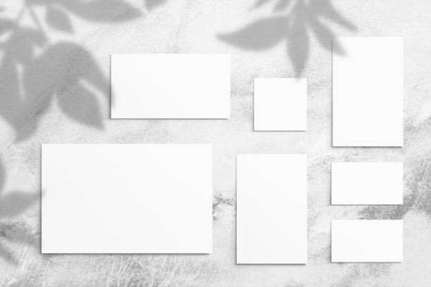 istock Composition of empty white different size watercolor sheets of paper and shadow from leaves on a light gray concrete background. Advertising board, mockup on the wall. Flat lay, top view, copy space 1316596590