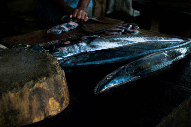 istock King mackerel fish on a stall ready to undergo cutting and cleaning process. 1316598342