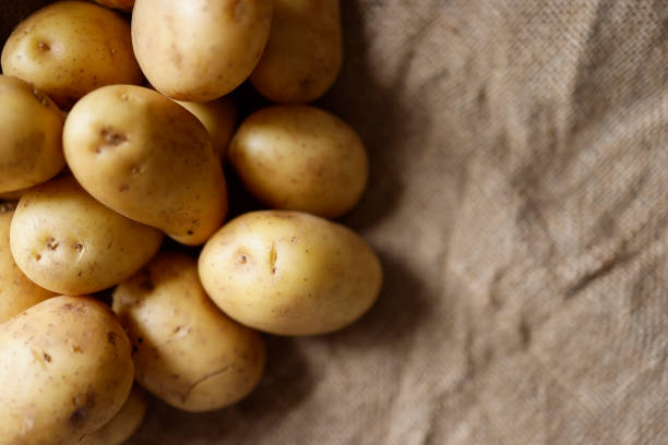 Istanbul, Turkey-May 4, 2021: Raw potatoes on burlap fabric. Full Frame, Still life. Shot with Canon EOS R5.