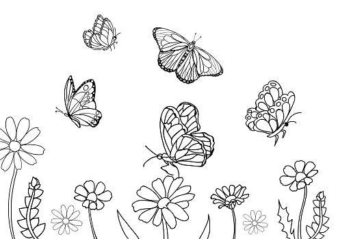 Butterflies and beautiful flowers on white background, illustration. Coloring page