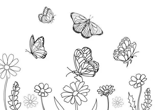 Photo of Butterflies and beautiful flowers on white background, illustration. Coloring page