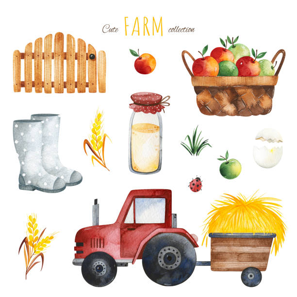 aquarellset mit äpfeln, traktor, heuhaufen, milchflasche - ladybug wheat nature insect stock-grafiken, -clipart, -cartoons und -symbole