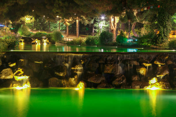 jardín acuático - forest pond landscaped water fotografías e imágenes de stock