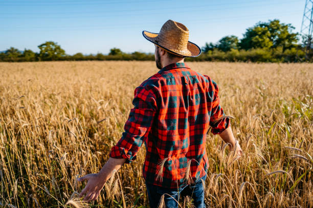 istock Farmer in his cereal field 1316600090
