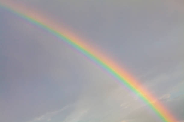 istock Picturesque rainbow on a rainy sky background 1316601245