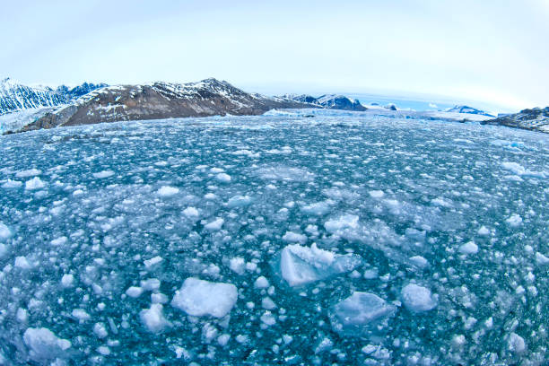istock Drift floating Ice and Snowcapped Mountains, Arctic, Svalbard, Norway 1316602573