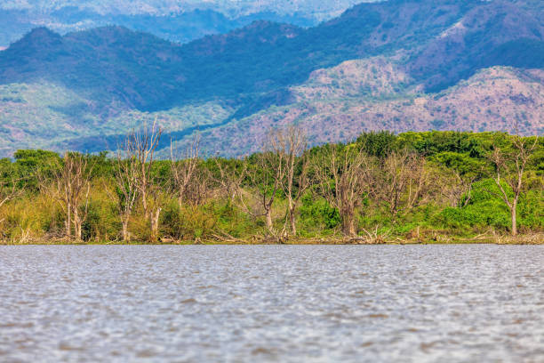 istock Lake Chamo landscape, Ethiopia Africa 1316606244