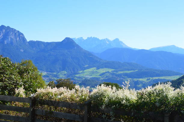 istock Scenic landscape in Southtyrol the Dolomites behind 1316610732