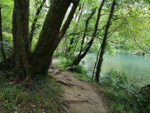 istock Fragas of the River Eume - National Park 1316614000