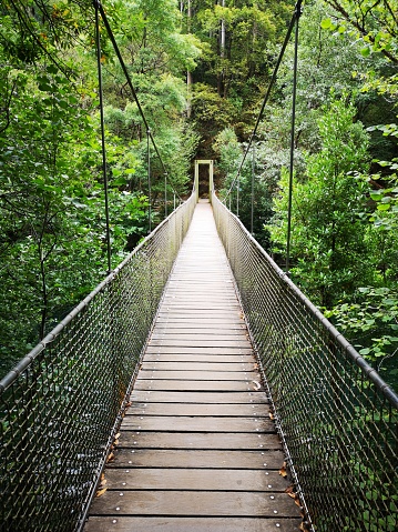 Suspension Bridge in Fragas do Eume National Park, Galicia, Spain