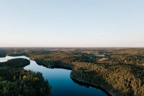 istock Summer Swedish lake 1316615624