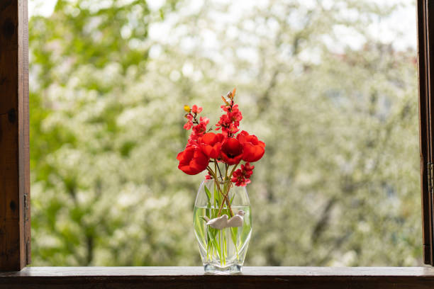 Red tulips on a wooden windowsill. Cozy spring concept.