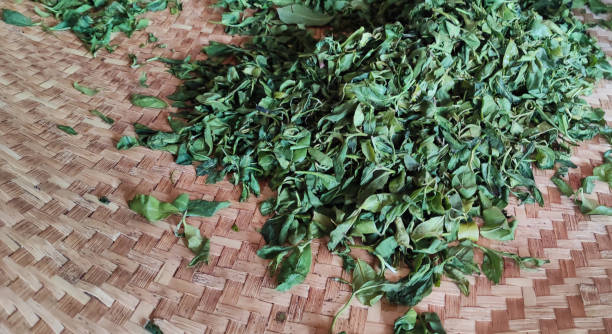 istock The tea leaves that have been picked out are prepared for drying. 1316620251