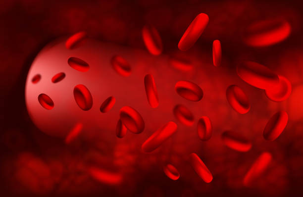 istock Red blood cells in artery, flow inside body. Vector medical concept 1316620603