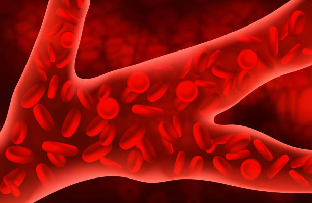 적혈구는 동맥 안쪽에 흐르고 있습니다. 벡터 의료 개념 - human blood cell stock illustrations