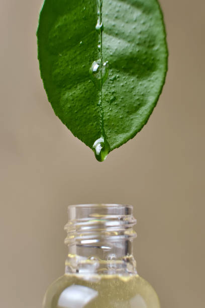 istock essential oil dripping from leaf into glass bottle isolated on beige 1316623681
