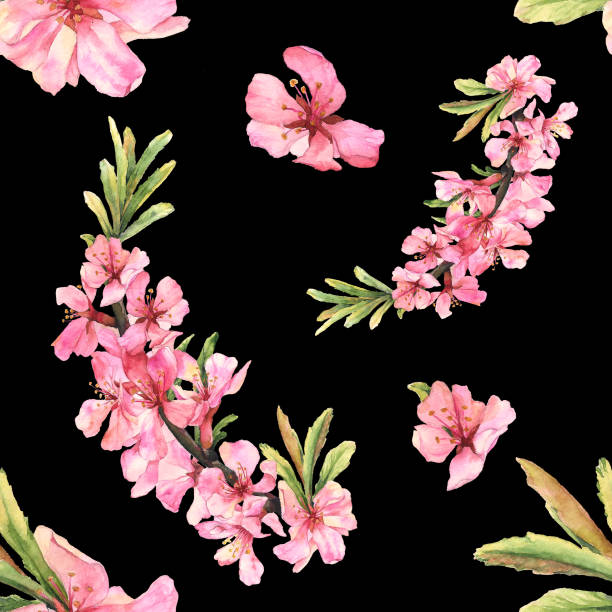 jasny bezszwowy wzór z kwitnącymi migdałami akwarelowymi - flower flourishes paint backgrounds stock illustrations