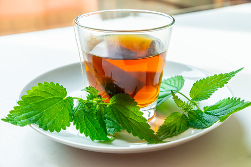Nettle herbal tea in a transparent cup, with a sachet immersed in water, and a white saucer with nettle leaves next to it. Healing infusion of nettle.