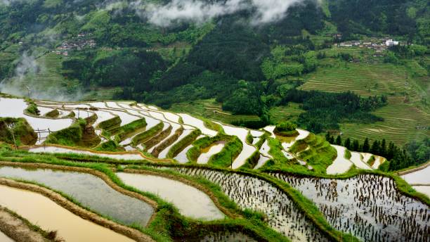 istock Guizhou,China-spectacular terraced field 1316631038
