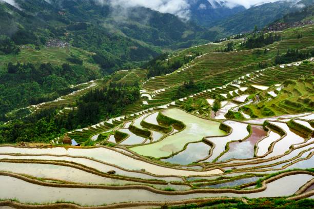 istock Guizhou,China-spectacular terraced field 1316631144