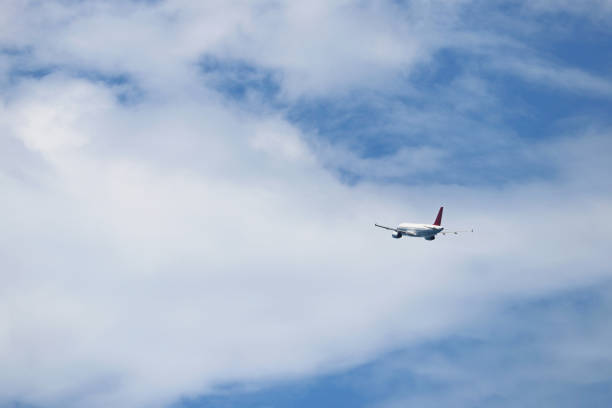 istock Airplane flying in the blue sky on background of white clouds, rear view 1316632046