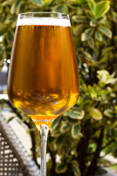 istock beer in a glass glass, which is intended for wine. The concept - it does not matter from which dishes to drink alcohol. Outdoor cafe in summer, soft drinks, beer, outdoor recreation, bar menu, alcoholic beverages, cafe menu 1316632240