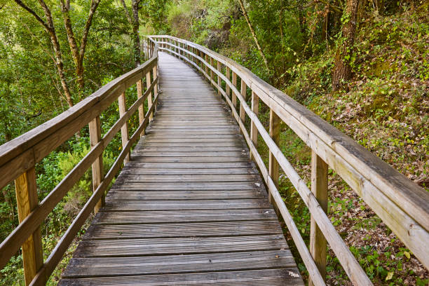 istock Wooden pathway into the forest. Mao river. Ribeira sacra. Galicia 1316632847