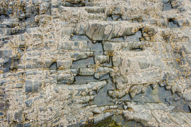 istock Background and texture of a beach stone 1316633818