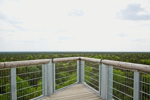 Treetop canopy walkway panoramic view