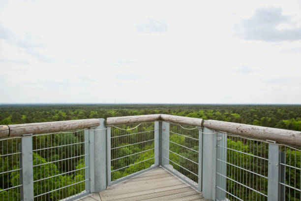 Treetop canopy walkway panoramic view Heilstatten Beelitz, Germany - May 23 , 2017:  Panorama view from treetop canopy walkway observation point over Beelitz woodland south of Berlin city. beelitz stock pictures, royalty-free photos & images