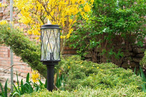Beautifull black garden lantern on a lag in the green garden. wallpaper