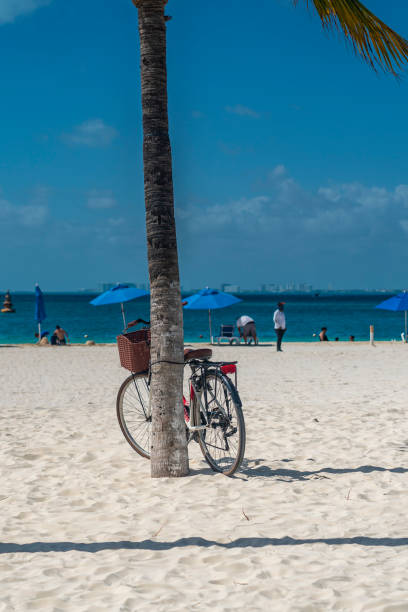 istock Bcycle leaning on palm tree at a white sandy beach on Isla Mujeres. Cancun, vertical 1316641898