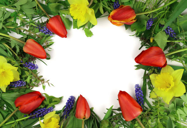 istock Frame, mockup of spring flowers and white paper sheet 1316642744