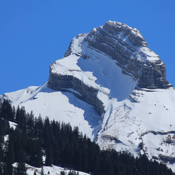 istock Zindlenspitz, mountain in Schwyz Canton. 1316643294