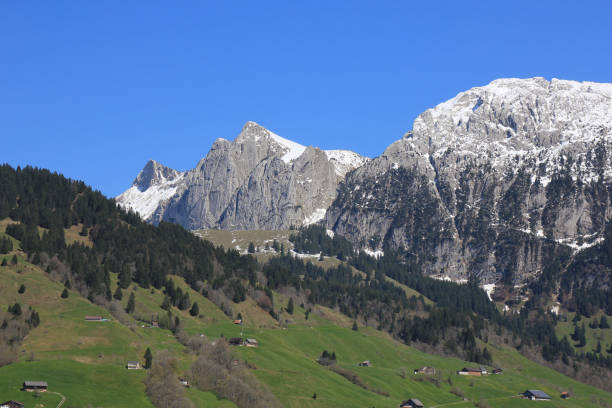 istock Green meadow and mountains Bockmattlistock and Schiiberg. 1316643299