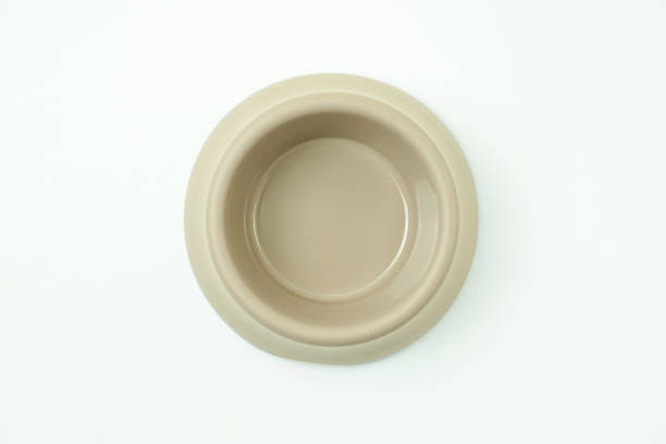 istock Empty dog food bowl Top view 1316643581