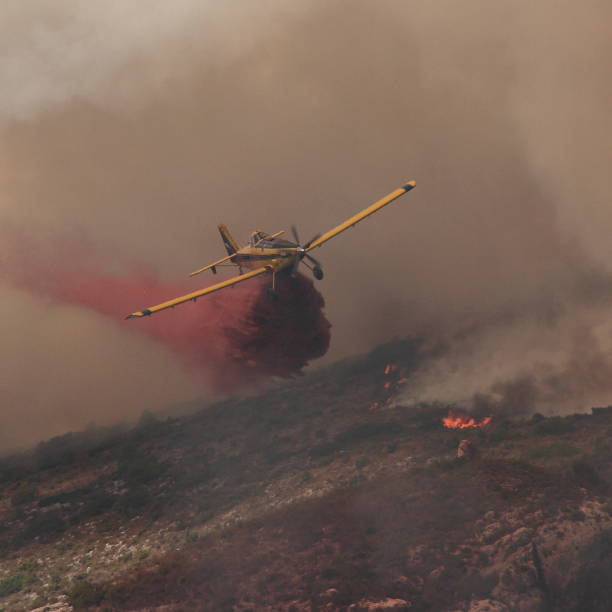istock The help of fire seaplanes 1316644760