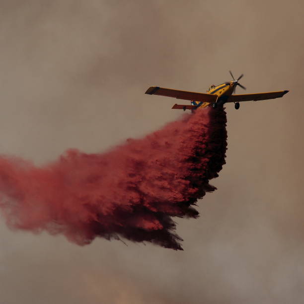 istock The help of fire seaplanes 1316644803