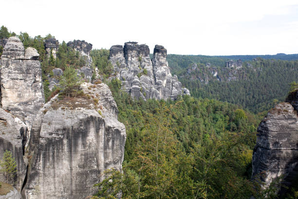 Landscape of rocks and forest in sunny day in Germany