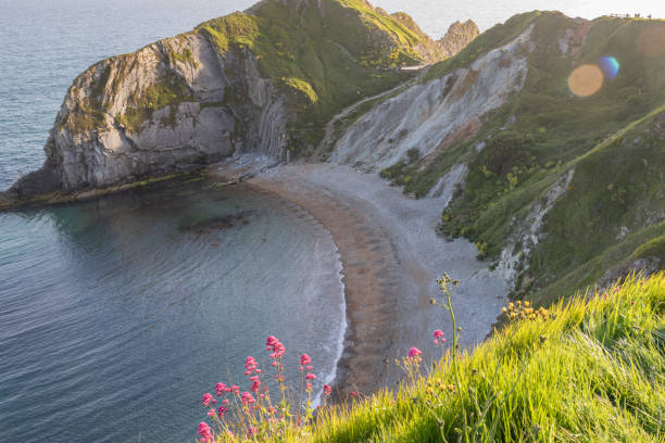 istock Man O War Bay in Dorset on the Jurassic Coast 1316645740