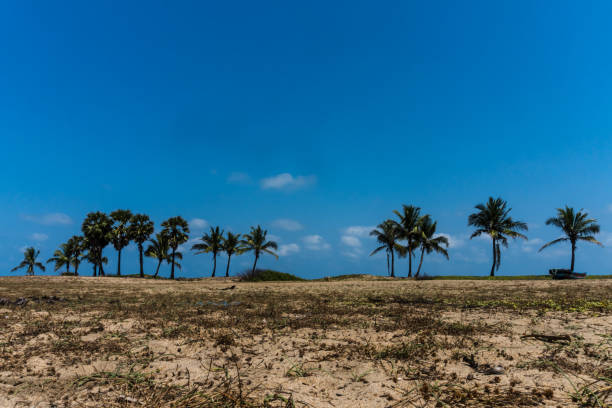 istock Pillayarkuppam Big Beach 1316646138