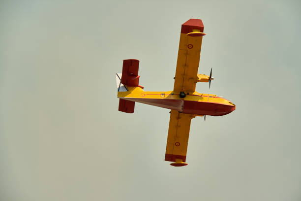 istock The help of fire seaplanes 1316650265