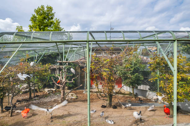 The aviary of Zug has been home to native and exotic birds since 1891. The tourist attraction is located outdoors in Landsgemeindeplatz, and is part of the history and tradition of Zug, the capital of the Swiss canton of Zug.