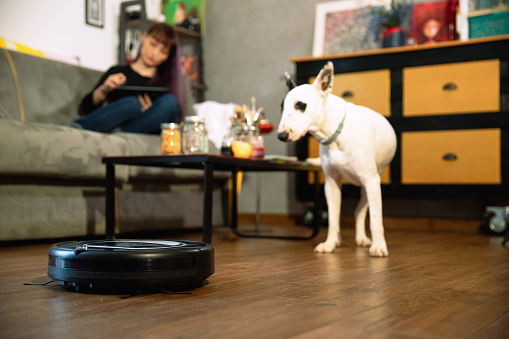 Robot vacuum cleaner cleans at home with a woman sitting on sofa and her dog